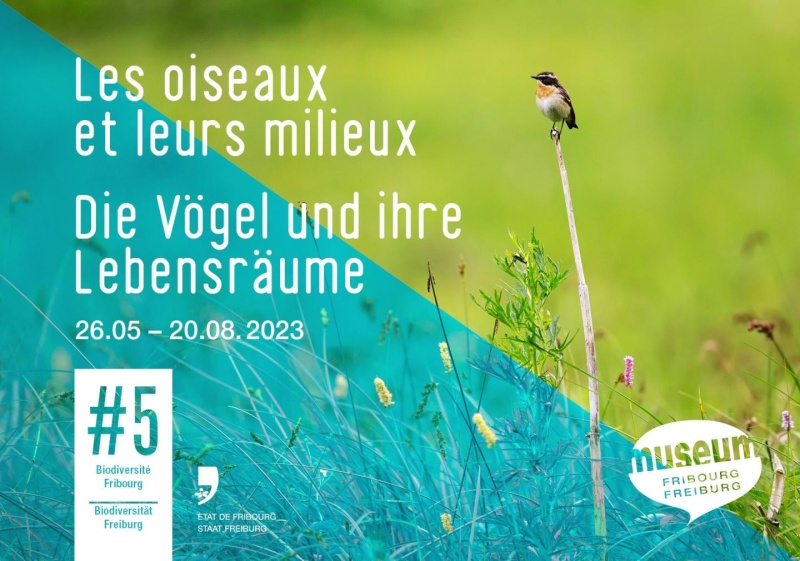 Les oiseaux et leurs milieux - #5 Biodiversité Fribourg 