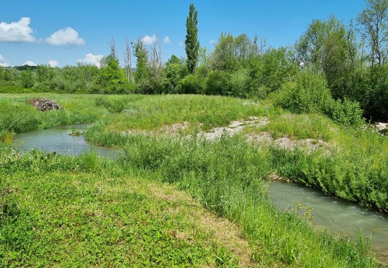 Neues Umgehungsgewässer am Jaunbach in Broc