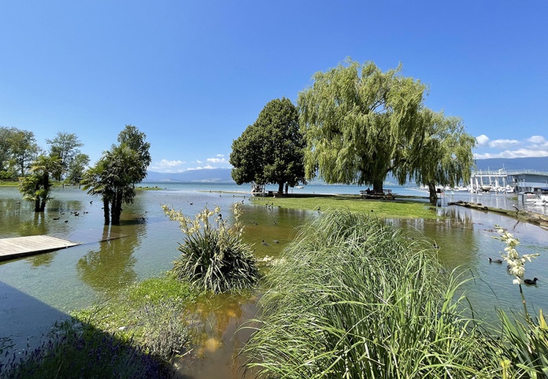 Plage de Cheyres, 18 juillet 2021