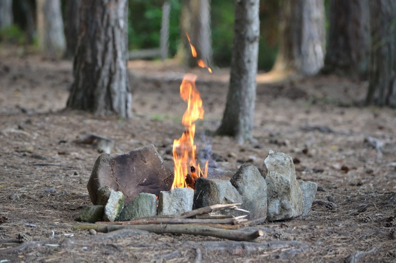 Faire un feu en forêt