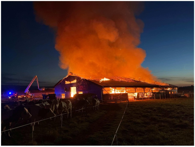 Incendie d'une étable à Forel