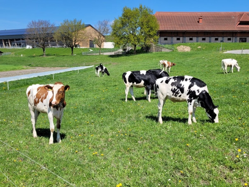 Recensement_agricole_2024