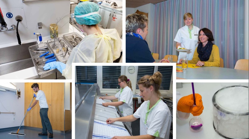 Métiers de la santé et du social