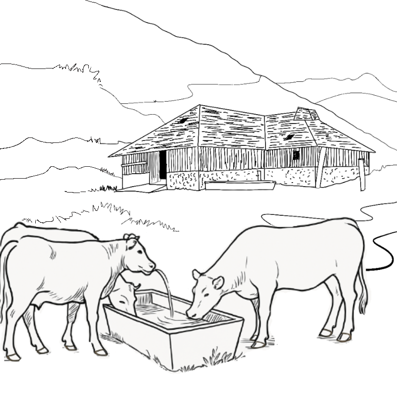 APPROVISIONNEMENT EN EAU DES ALPAGES 