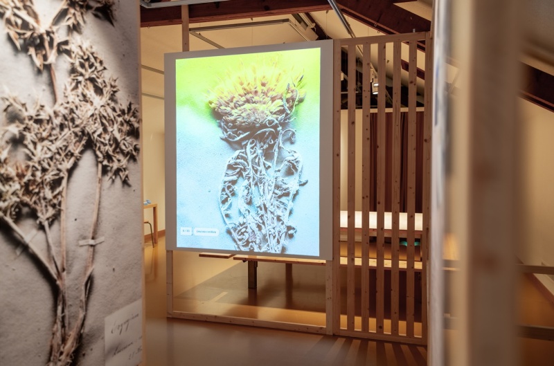 Blick in die Ausstellung