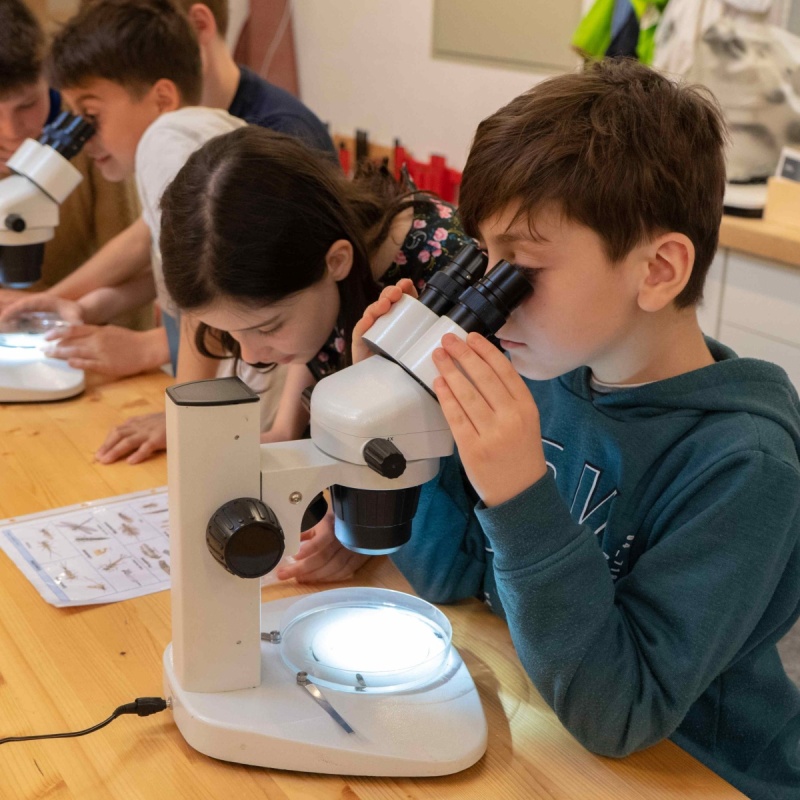 Atelier au Musée d'histoire naturelle