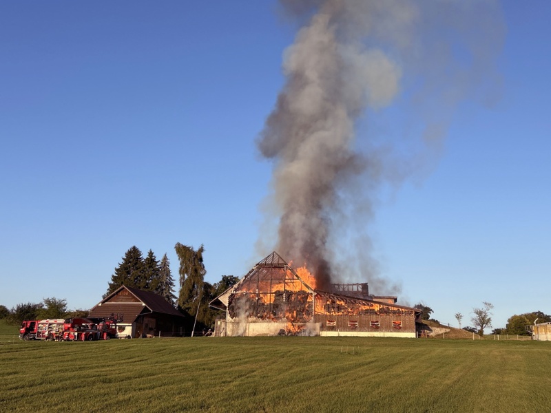 Plusieurs animaux périssent dans l’incendie d’une ferme à Guin