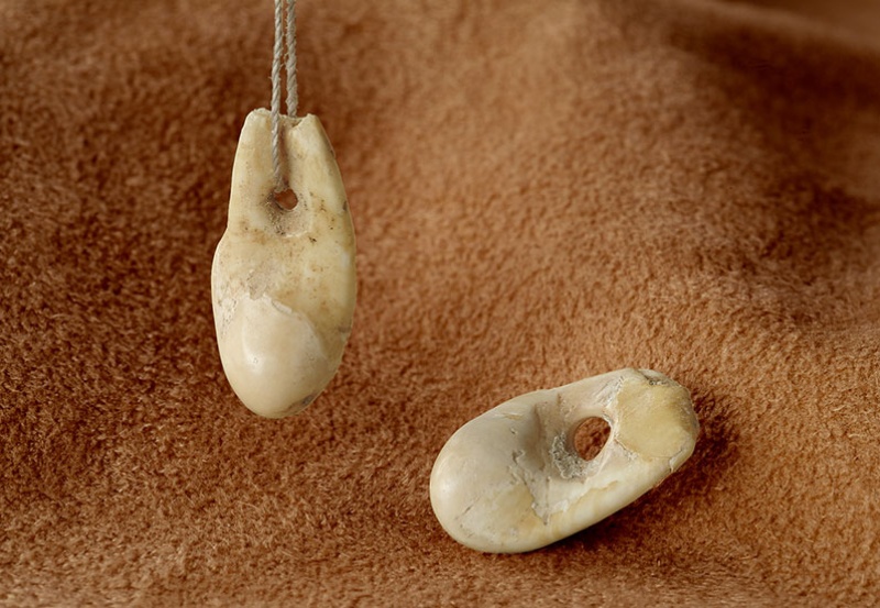 Pendentifs en dents de cerf découverts à Arconciel