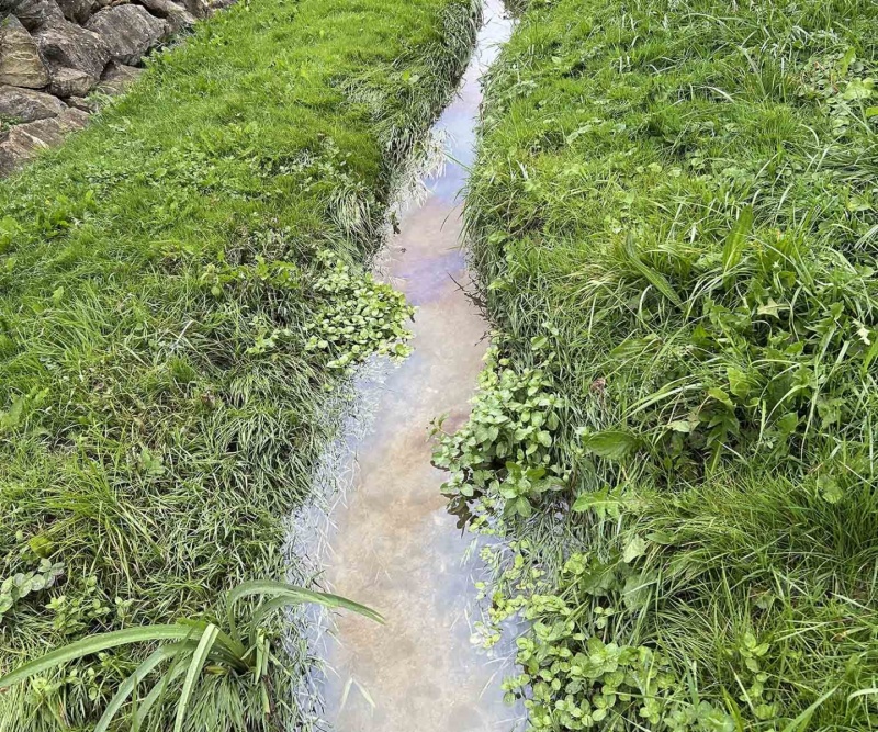Pollution à Domdidier