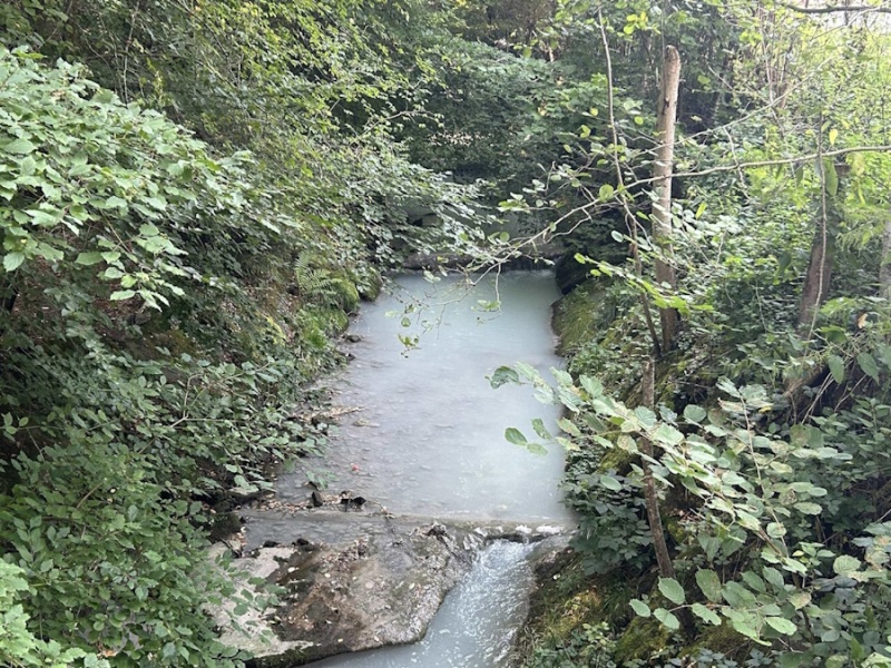 Pollution d’un cours d’eau à Matran