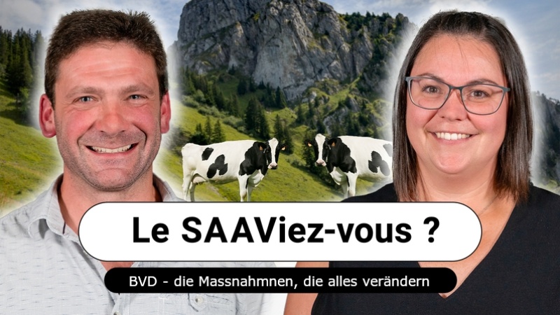 Podcast BVD: Le SAAViez-vous - BVD, die Massnahmen, die alles verändern