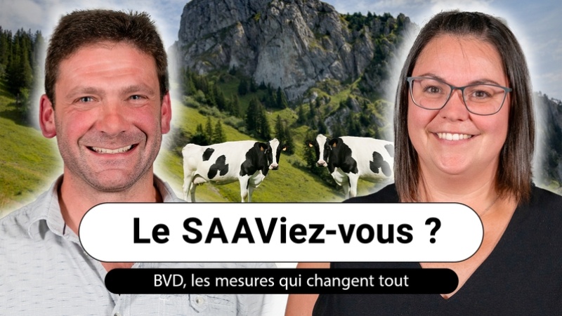 image des intervenants du Podcast "BVD, les mesures qui changent tout"