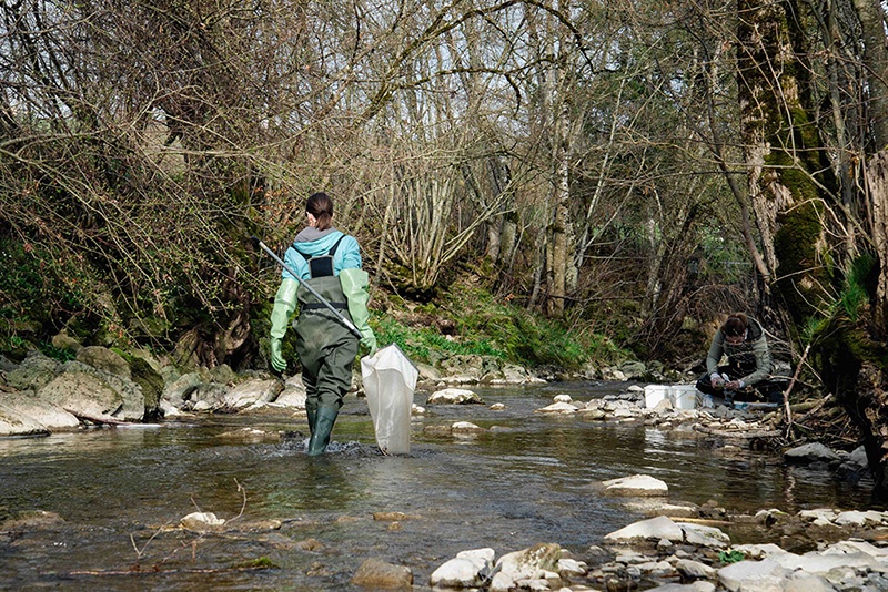 Monitoring de la Haute Broye 2025