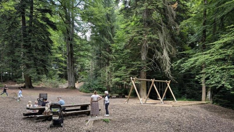 Der Wald als Laboratorium der Inklusion