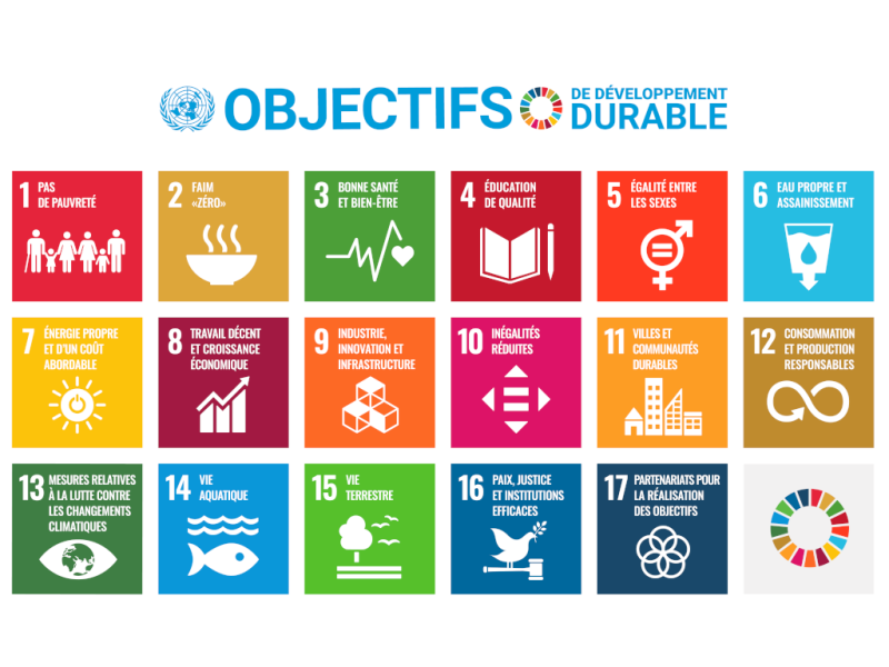 Agenda 2030 : Les 17 objectifs de développement durable
