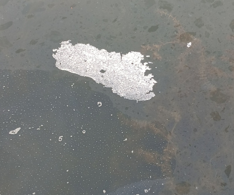 Police cantonale Fribourg