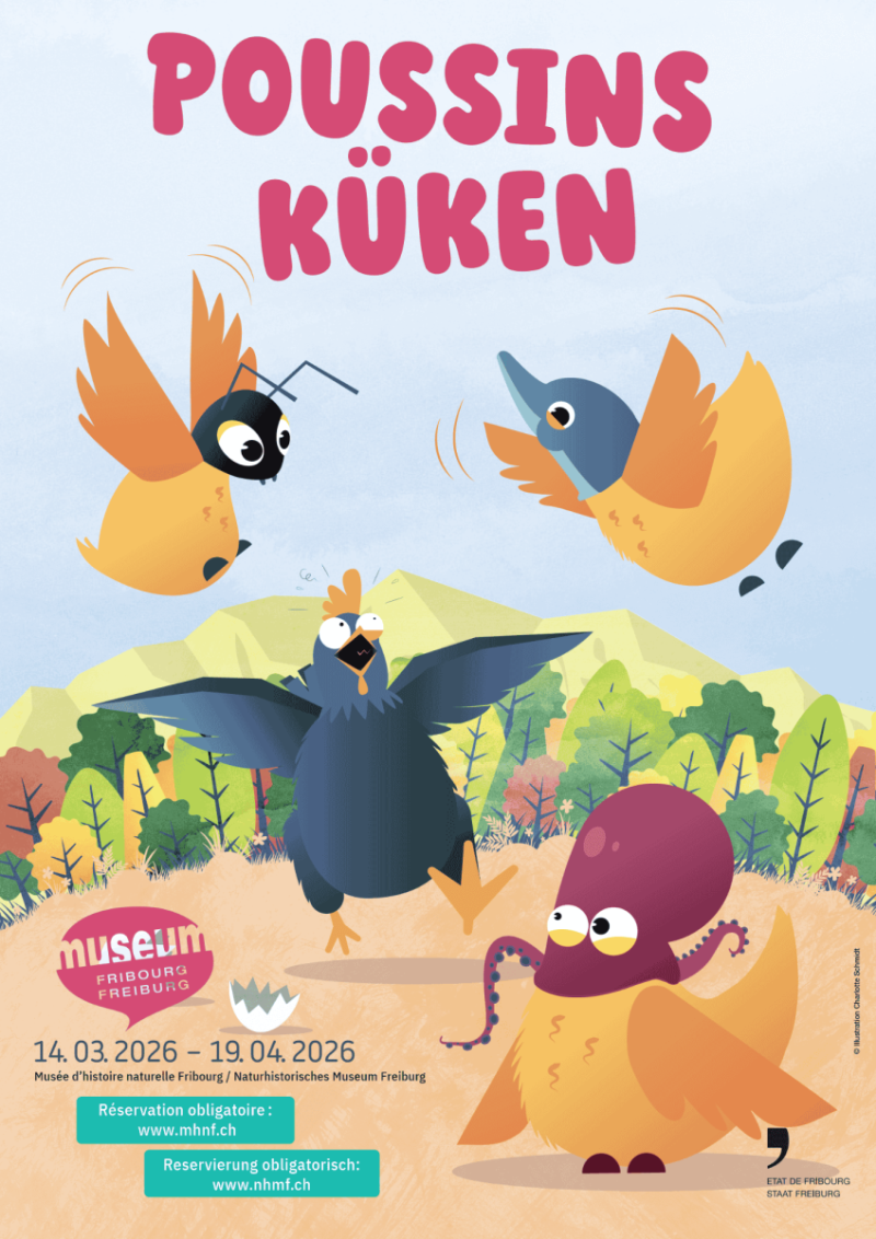 Poussins 2026 - Affiche