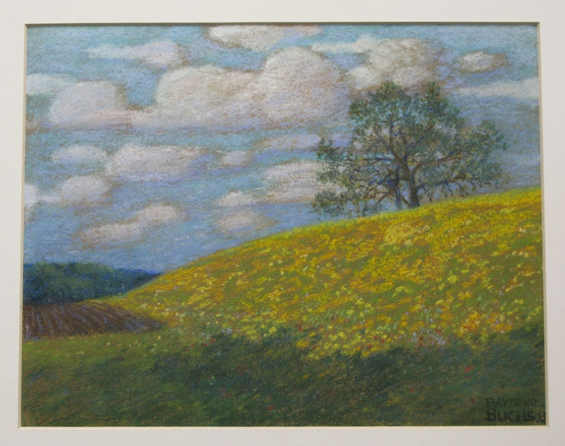 Raymond Buchs, Pré fleuri, 1913 