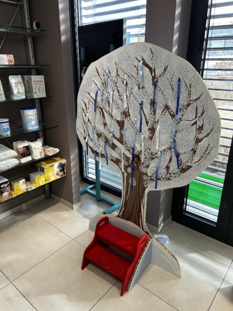 Aperçu de l'arbre des 4 saisons