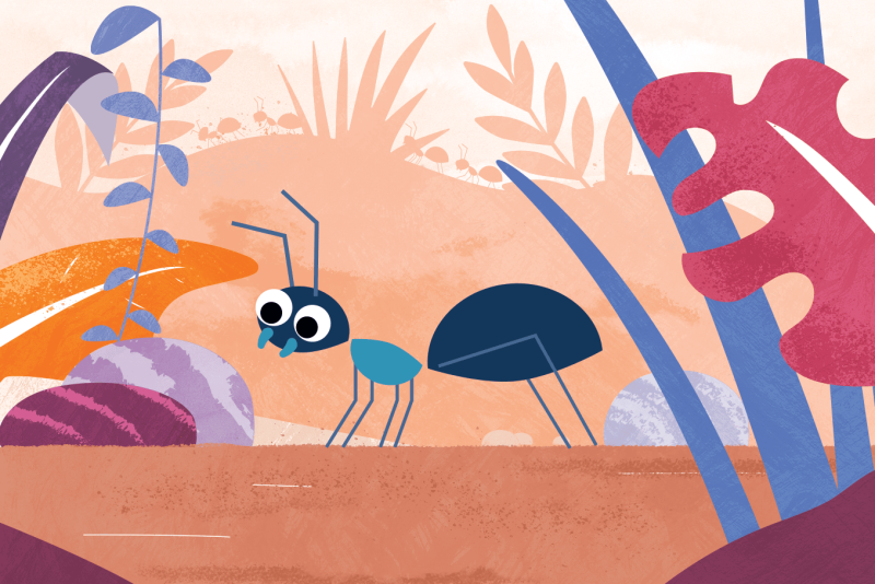 Rote Waldameise - Klein, aber oho!