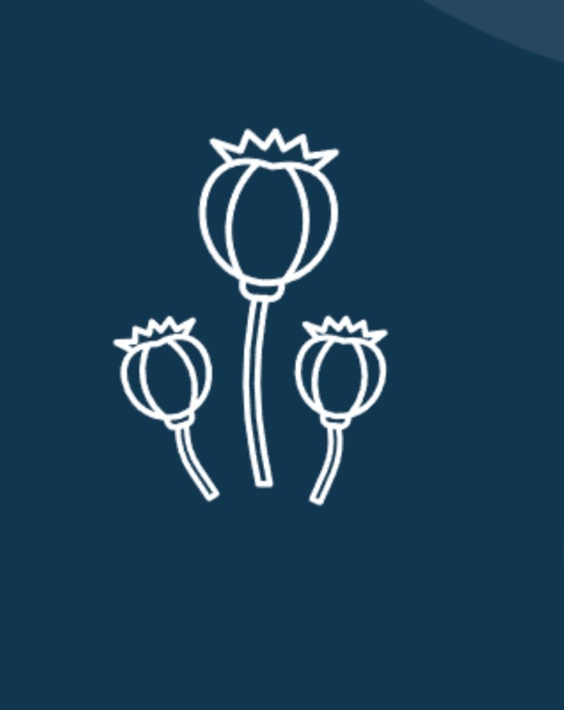 Sucht Schweiz, Opioide