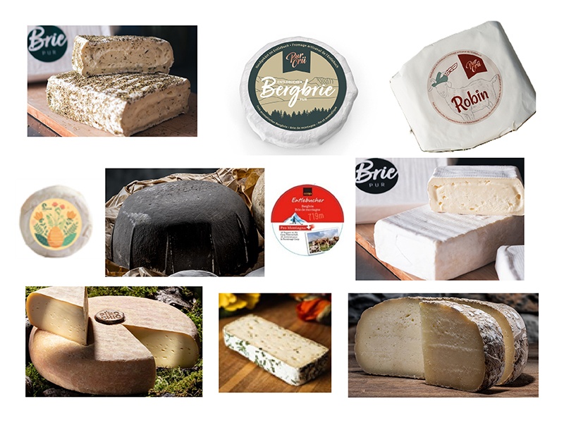 In verschiedenen Weichkäsen wurden Salmonellen nachgewiesen