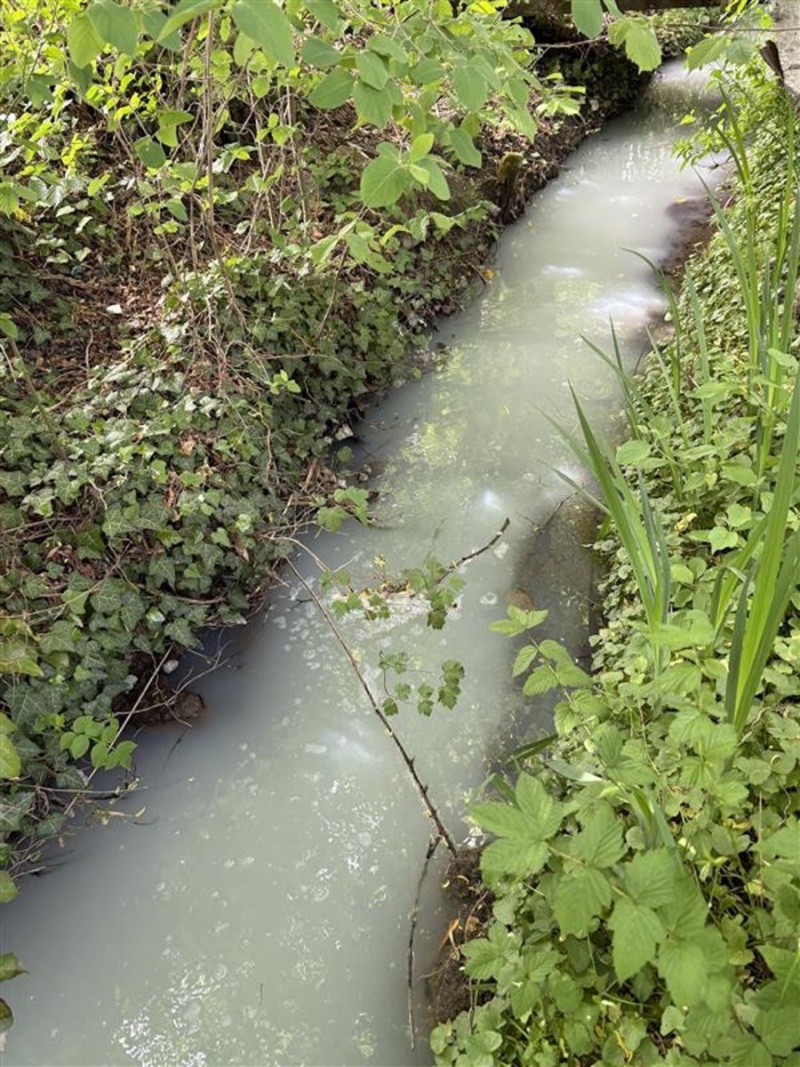 Pollution d’un cours d’eau à Greng