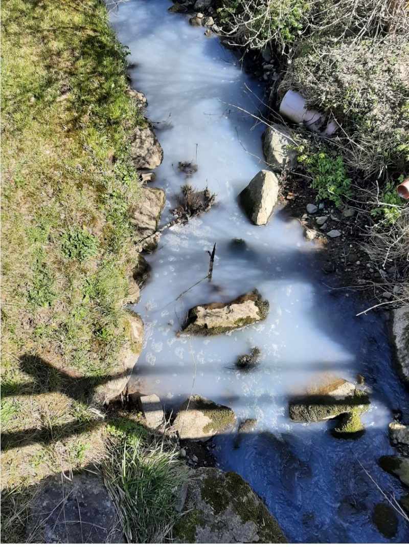 Pollution d'un ruisseau à Villariaz
