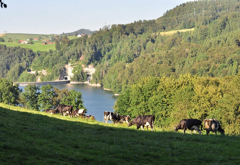 Agriculture et protection des eaux