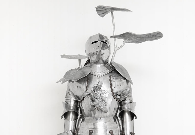 Chevalier errant