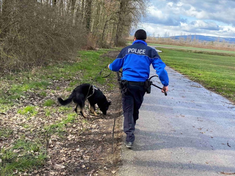 Piste chien de police