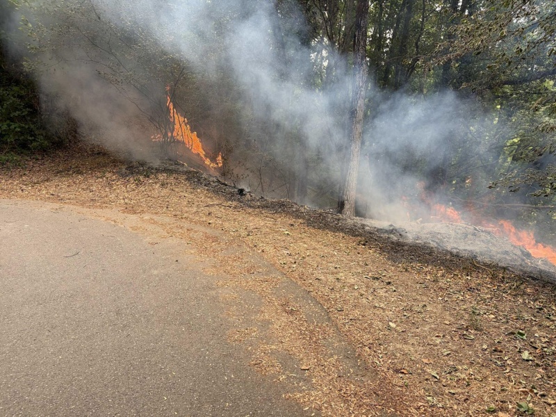 Départ de feu en forêt à Cheyres