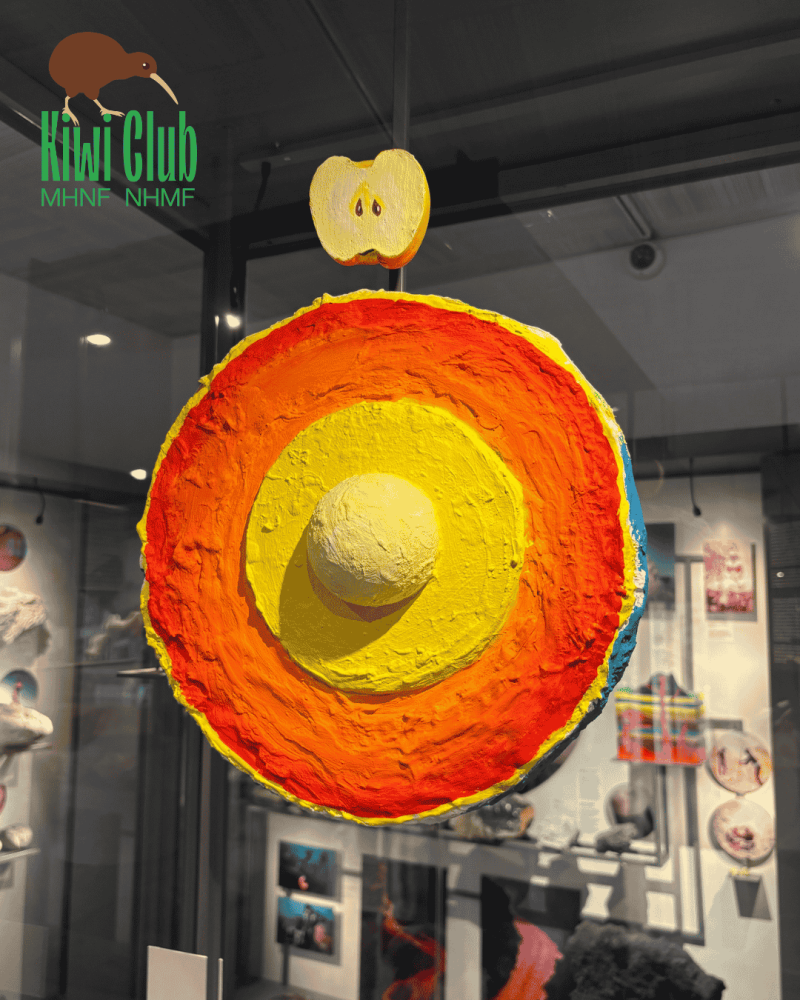 Kiwi Club
