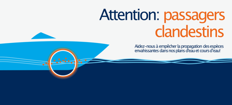 Obligation de déclaration et de nettoyage des bateaux