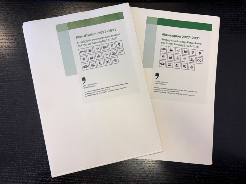 Angepasster Aktionsplan 2027–2031