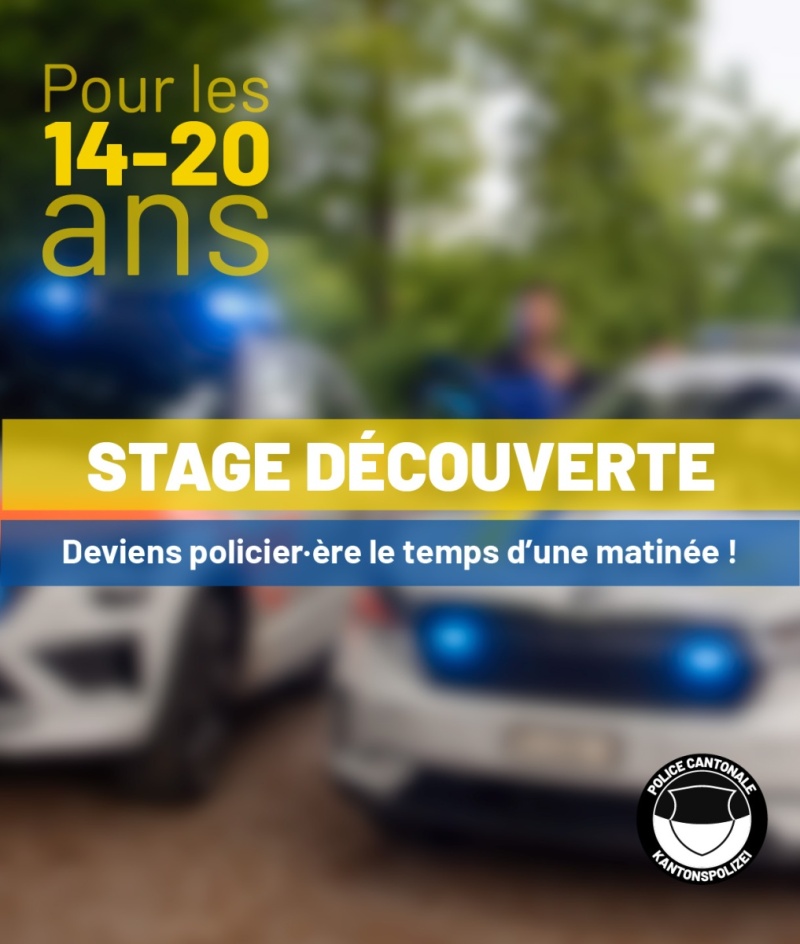 Stage découverte