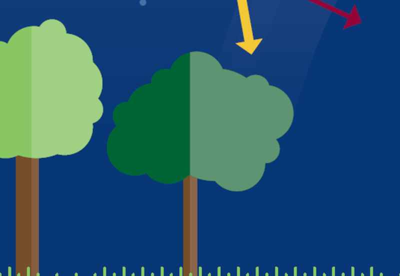Kantonaler Klimaplan 2025