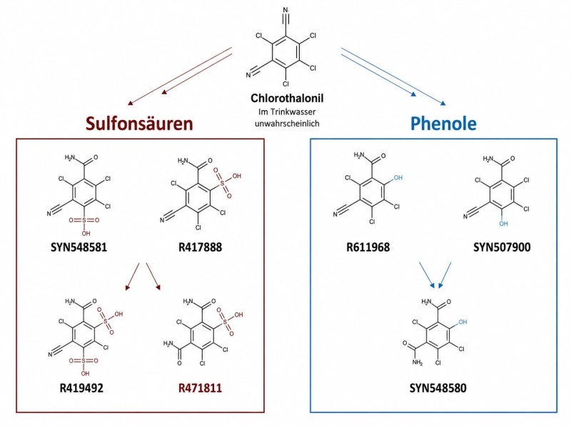 Struktur von Chlorthalonil